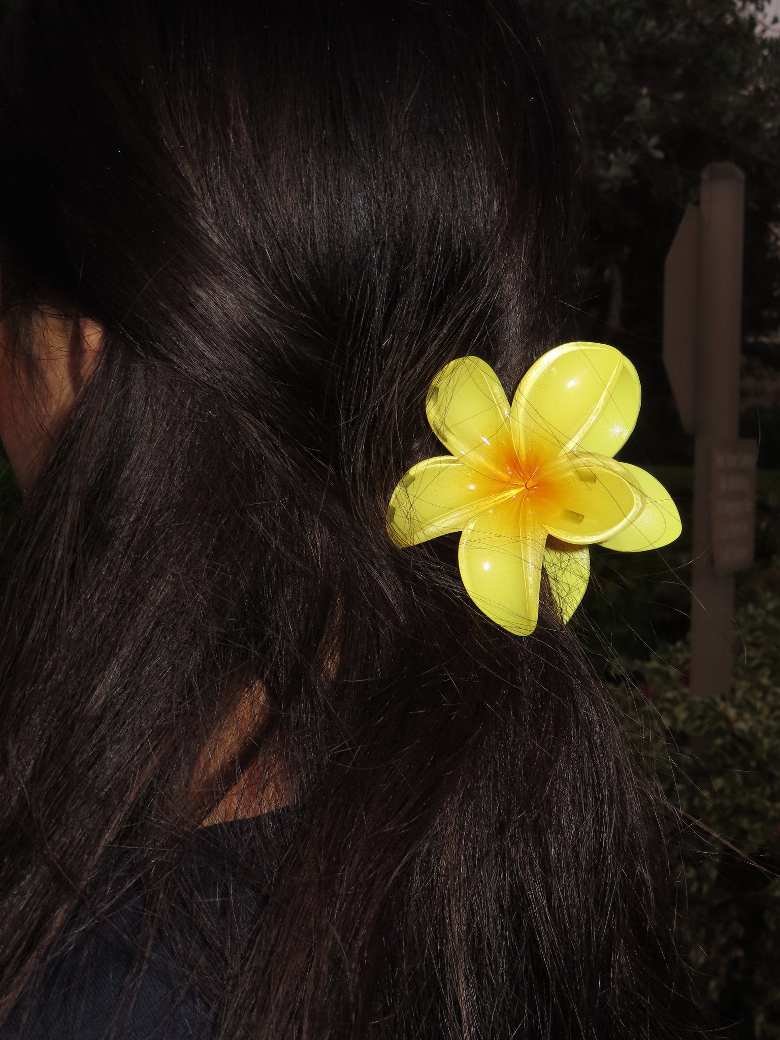 Yellow Sunshine