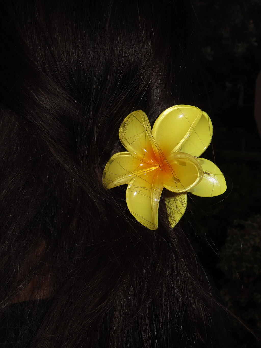 Yellow Sunshine
