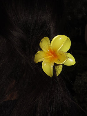 Yellow Sunshine